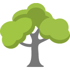 Sun City West Tree Removal