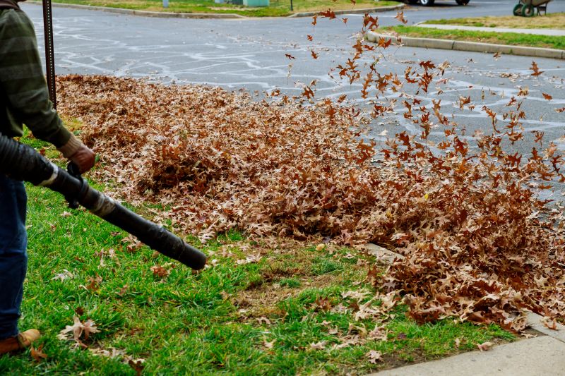 Leaf Blowing