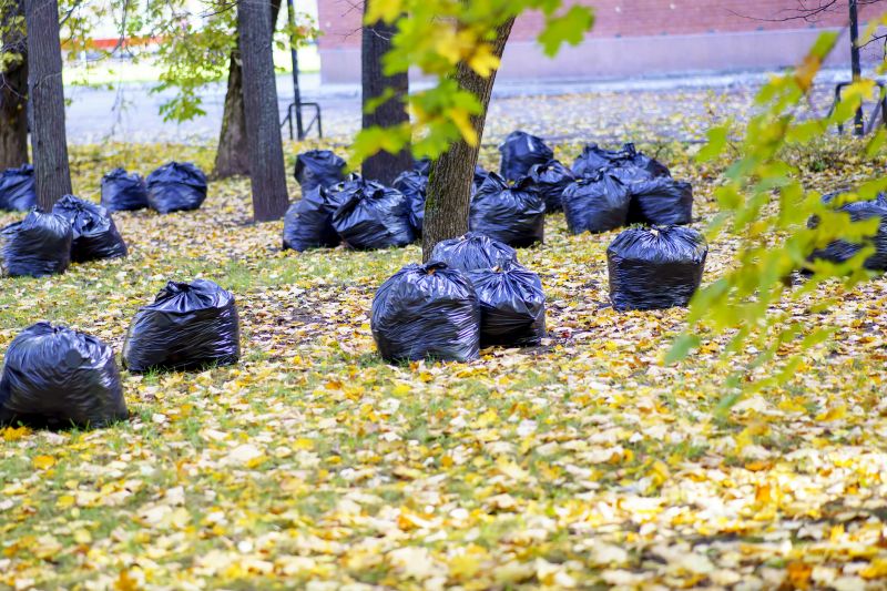 Leaf Disposal
