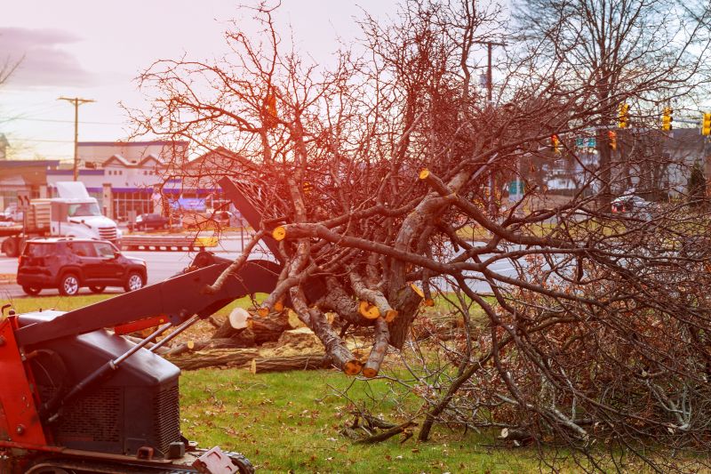Land Clearing Machinery