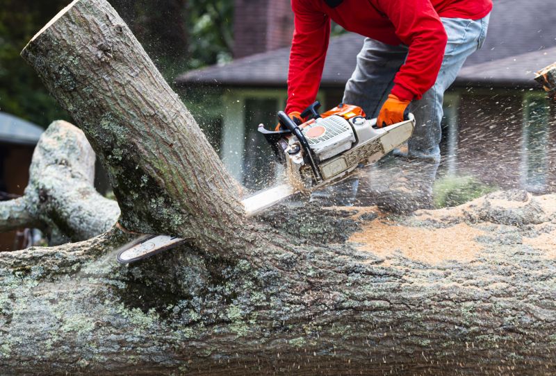 Land Clearing