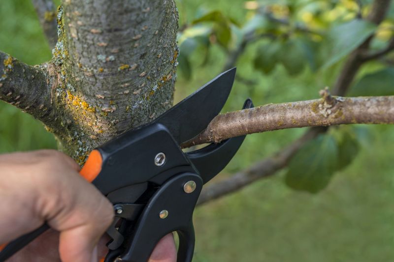 Quick Maintenance Habit