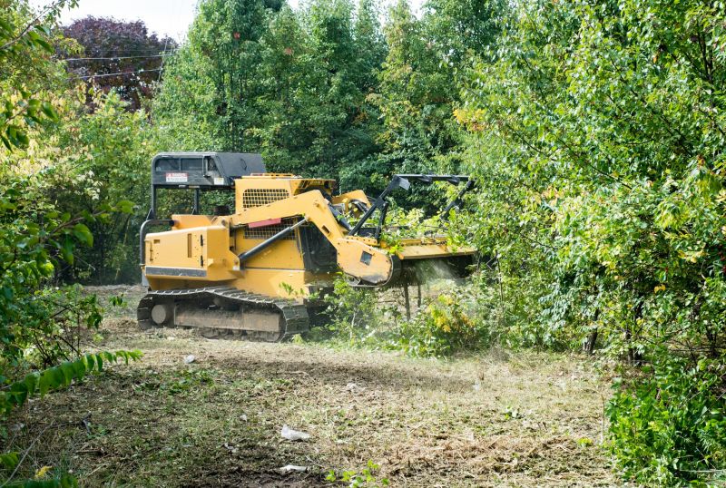 Tree Removal Equipment