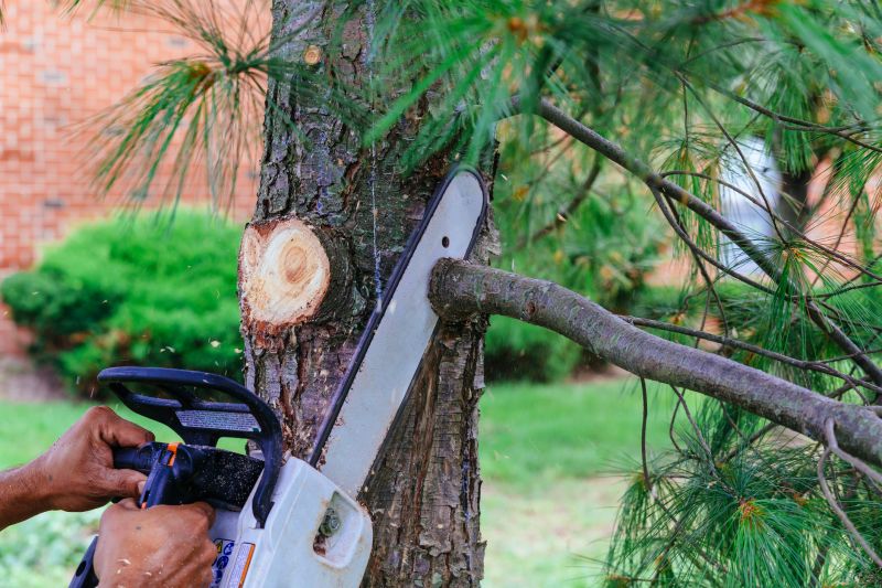 Tree Pruning and Maintenance