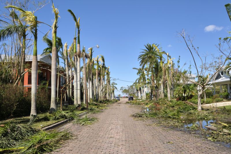 Property Cleanup After Removal